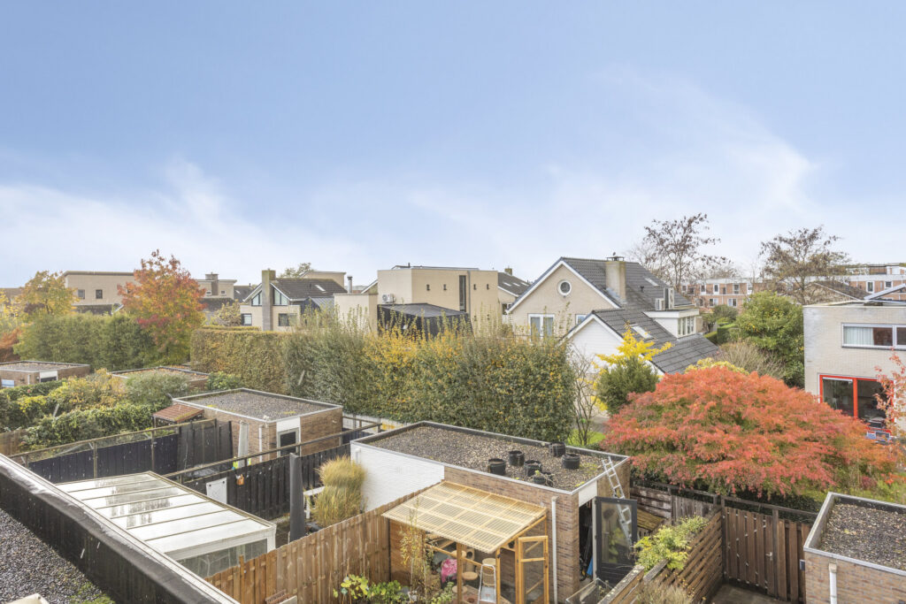 Zilvermos 30 – Foto 30