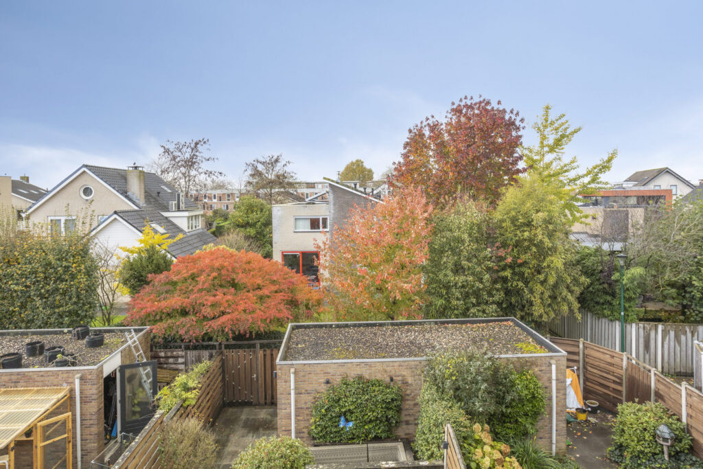 Zilvermos 30 – Foto 37