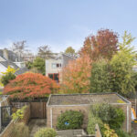 Zilvermos 30 – Foto 46