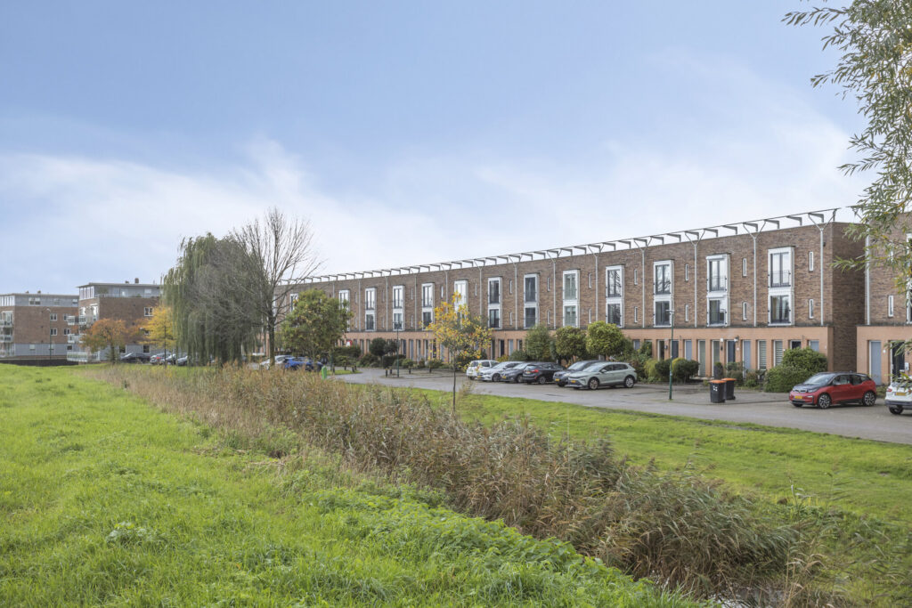 Zilvermos 30 – Foto 48