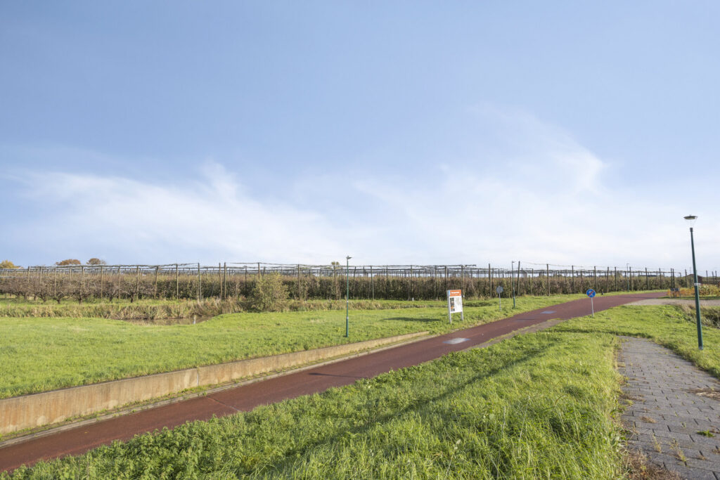 Zilvermos 30 – Foto 47