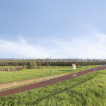 Zilvermos 30 – Foto 10