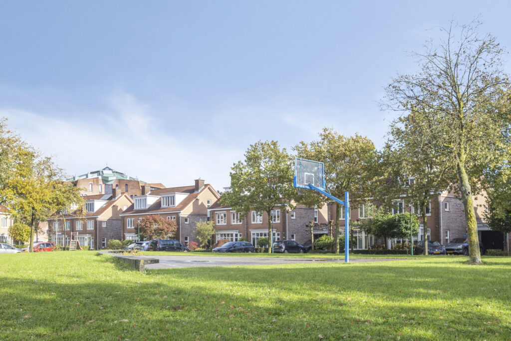 Zilvermos 30 – Foto 50