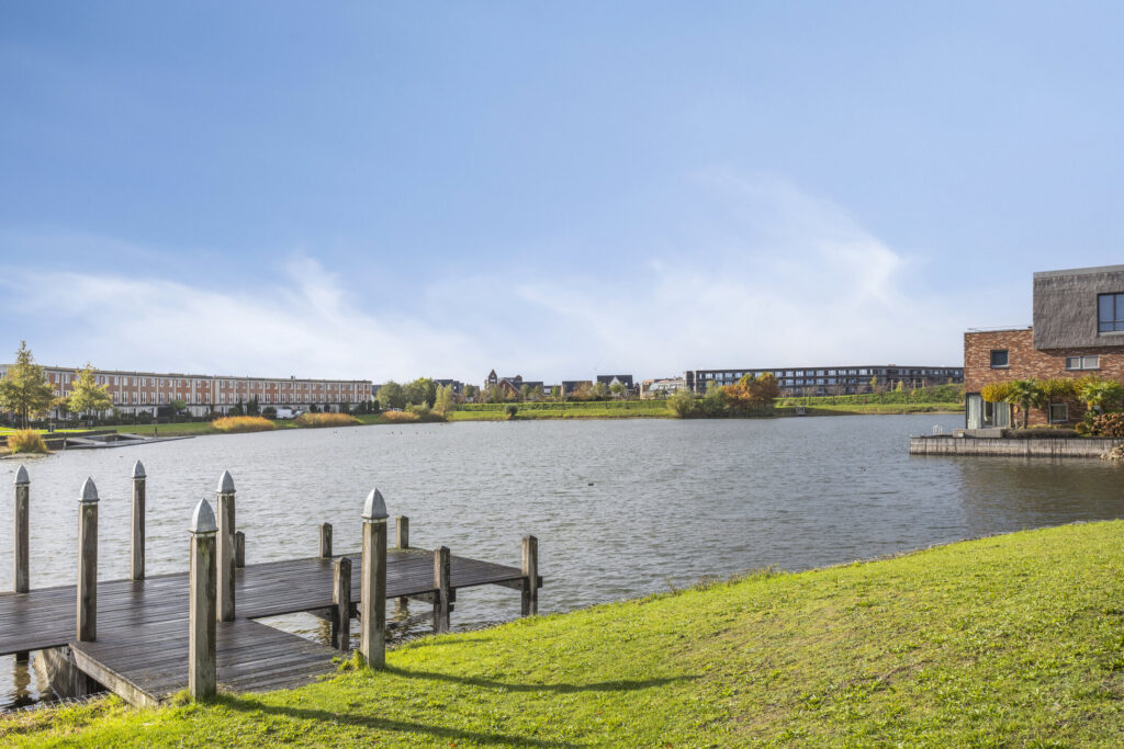 Zilvermos 30 – Foto 46