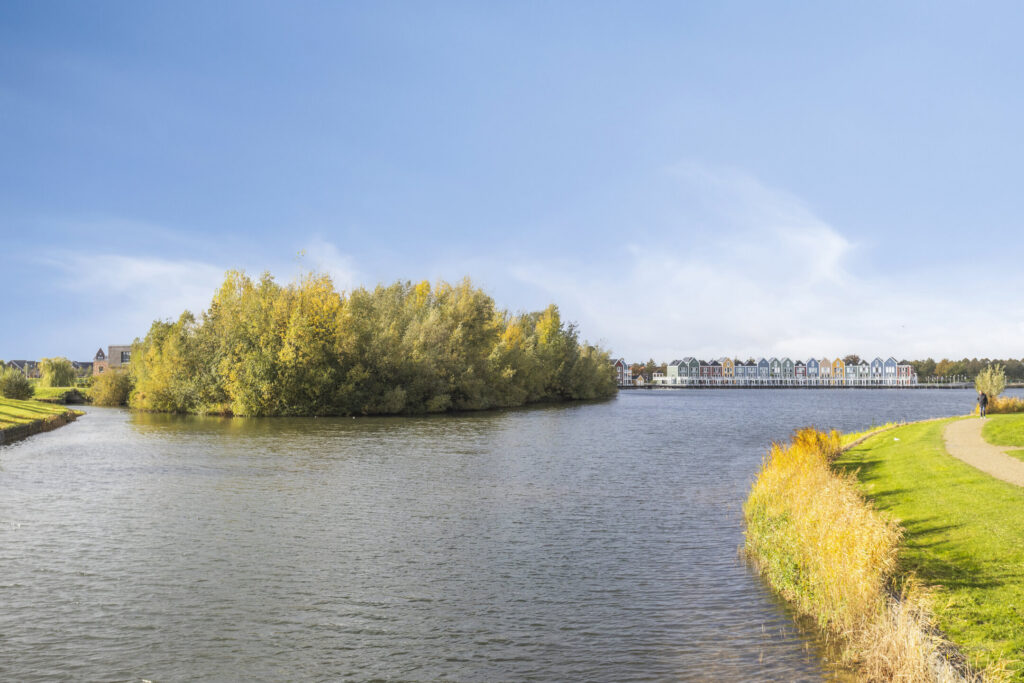 Zilvermos 30 – Foto 51