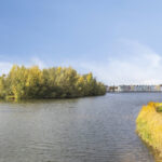 Zilvermos 30 – Foto 2