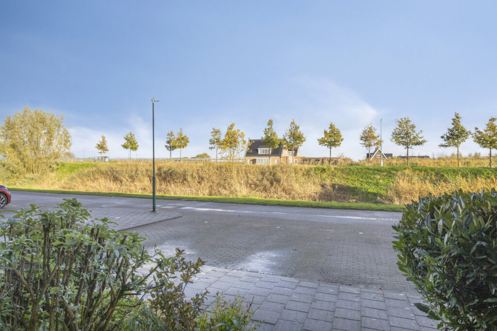 Zilvermos 30 – Foto 43