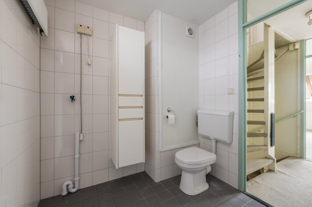 Goudfazant 15 – Foto 2