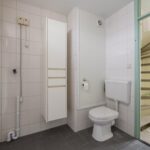 Goudfazant 15 – Foto 2