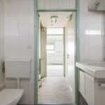 Goudfazant 15 – Foto 4