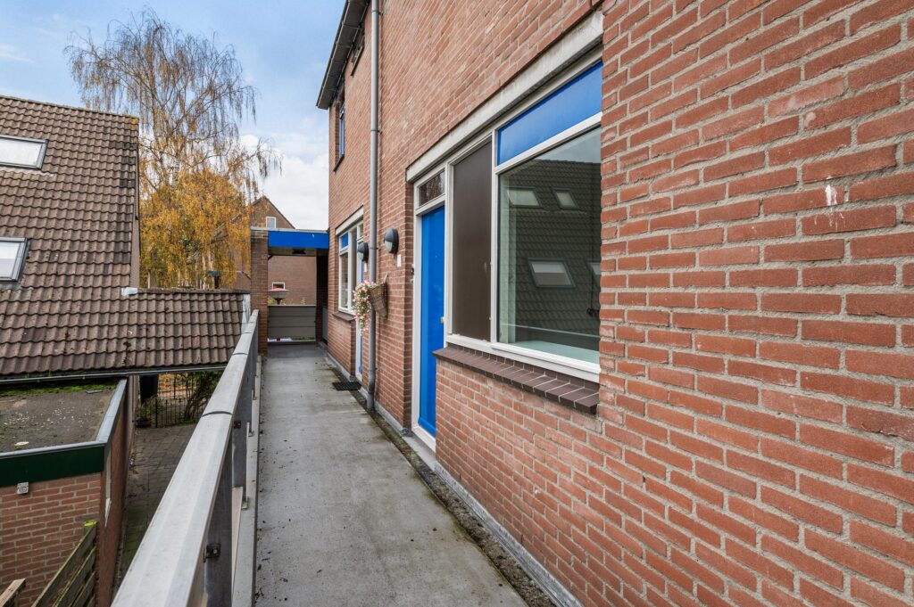 Goudfazant 15 – Foto 5