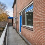 Goudfazant 15 – Foto 5