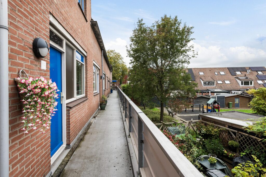 Goudfazant 15 – Foto 7