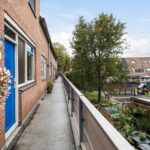 Goudfazant 15 – Foto 7