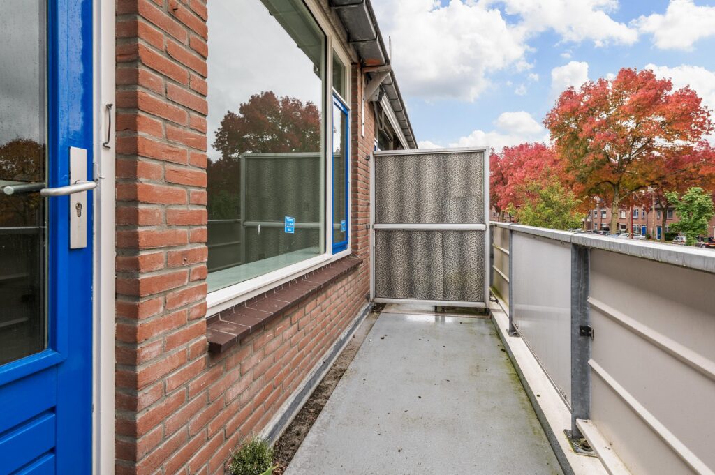 Goudfazant 15 – Foto 6