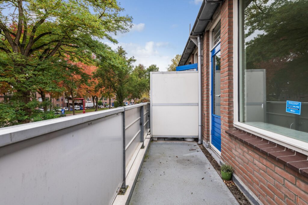 Goudfazant 15 – Foto 8