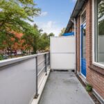 Goudfazant 15 – Foto 8