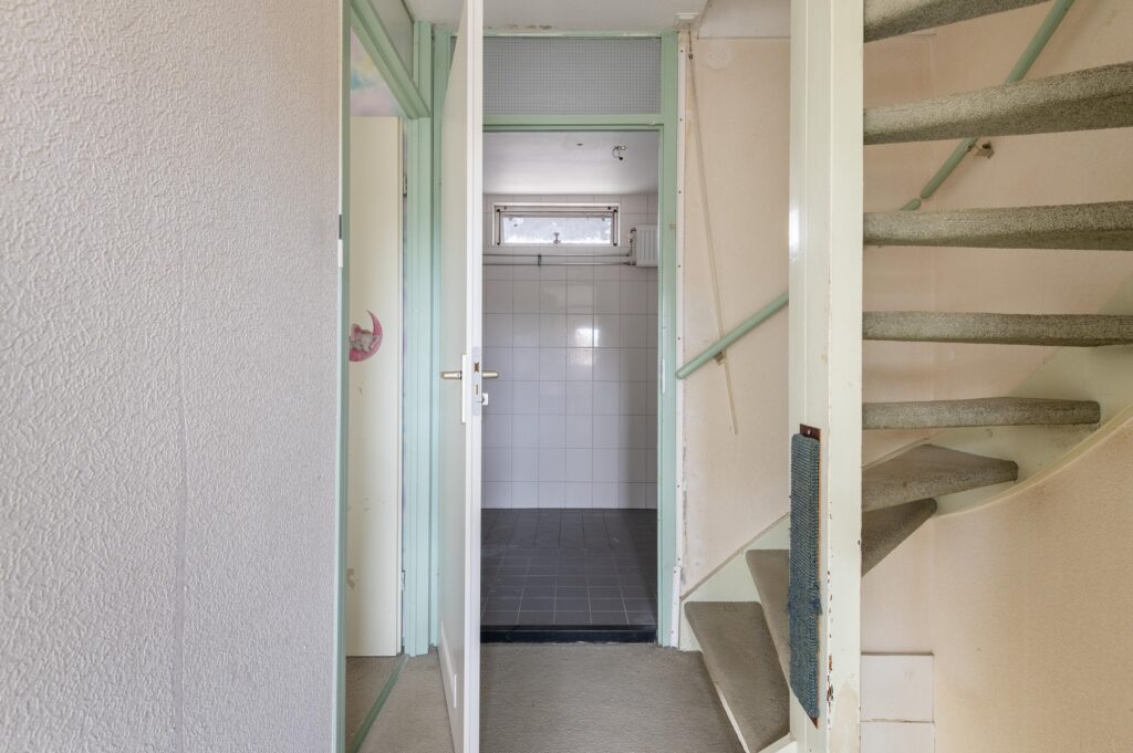 Goudfazant 15 – Foto 9