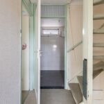 Goudfazant 15 – Foto 9