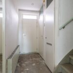 Goudfazant 15 – Foto 10