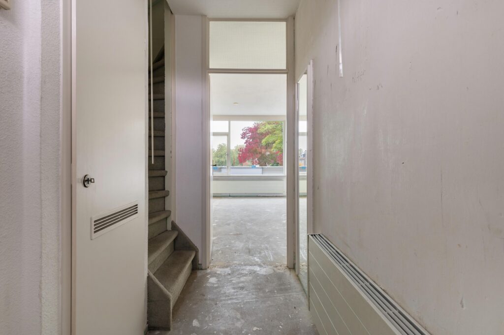 Goudfazant 15 – Foto 11