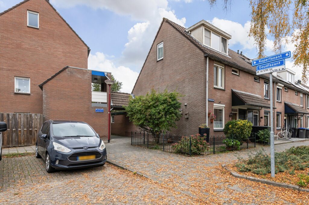 Goudfazant 15 – Foto 13