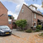 Goudfazant 15 – Foto 13