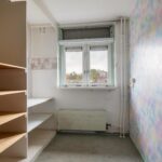 Goudfazant 15 – Foto 14