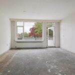 Goudfazant 15 – Foto 16