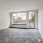 Goudfazant 15 – Foto 19