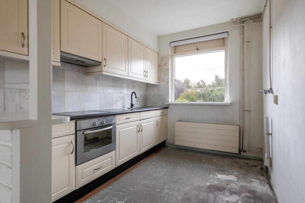 Goudfazant 15 – Foto 23