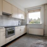 Goudfazant 15 – Foto 23