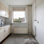 Goudfazant 15 – Foto 26