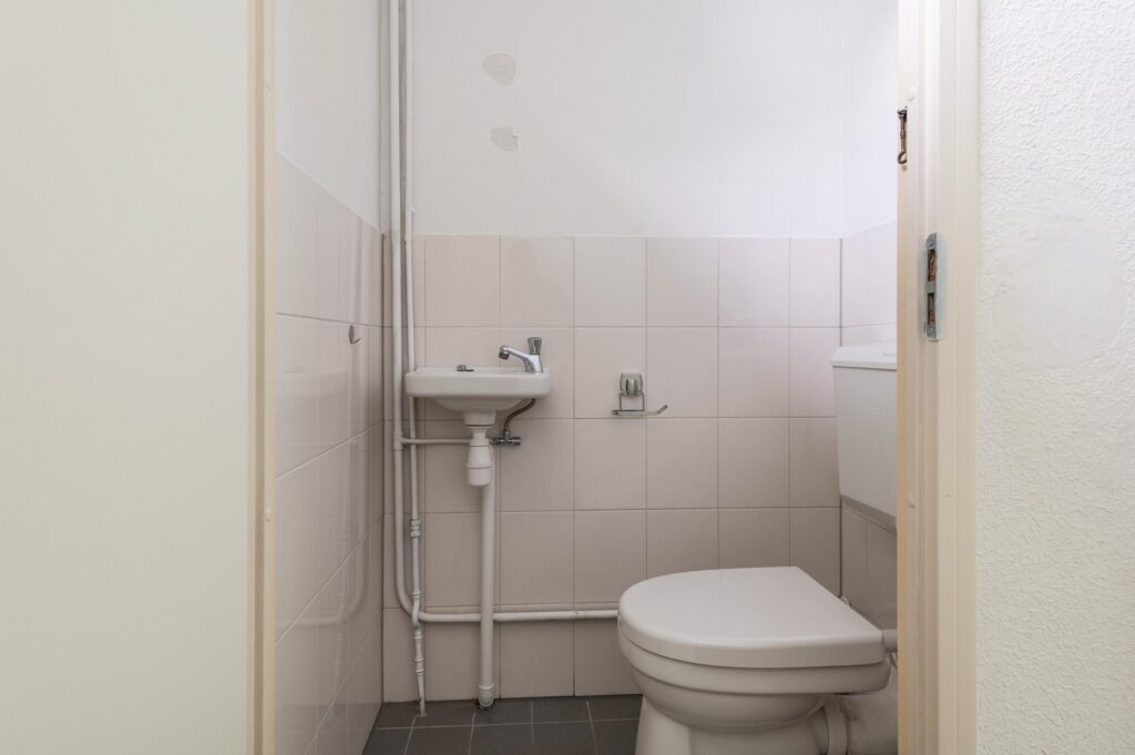 Goudfazant 15 – Foto 25