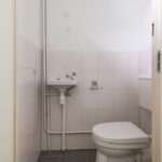 Goudfazant 15 – Foto 25