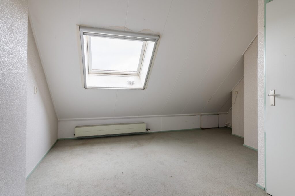 Goudfazant 15 – Foto 27