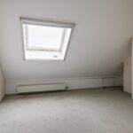 Goudfazant 15 – Foto 27