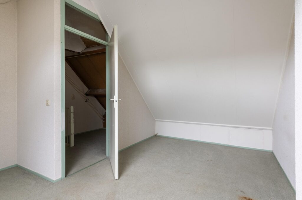 Goudfazant 15 – Foto 30