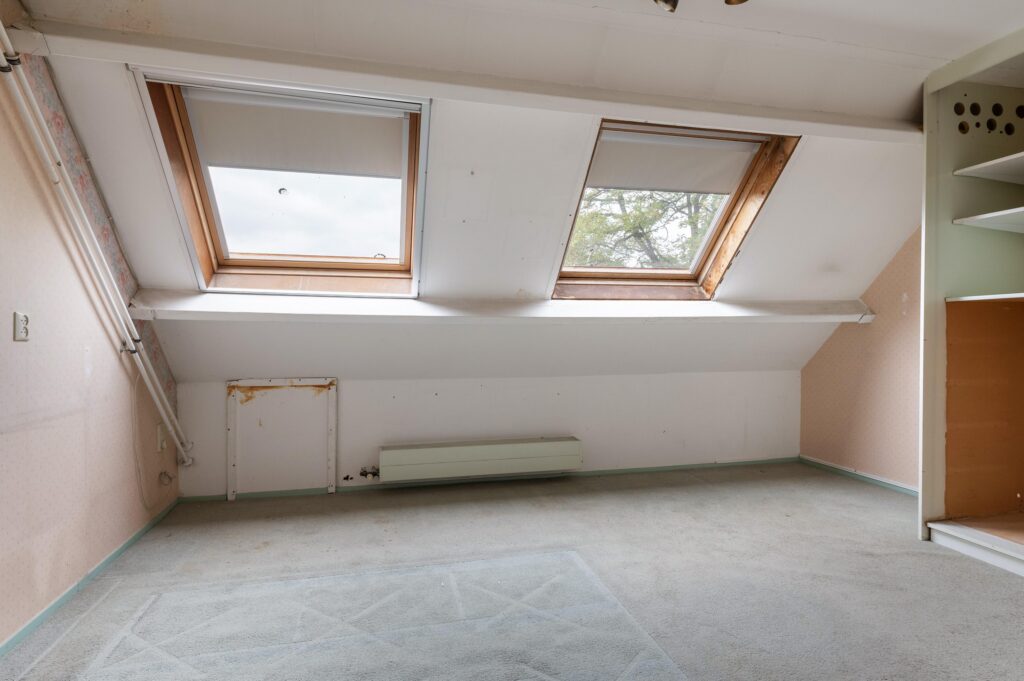 Goudfazant 15 – Foto 28