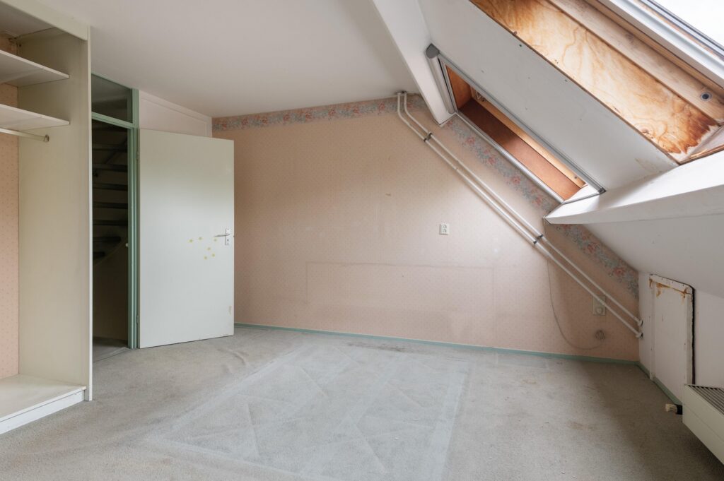 Goudfazant 15 – Foto 31