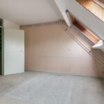 Goudfazant 15 – Foto 31