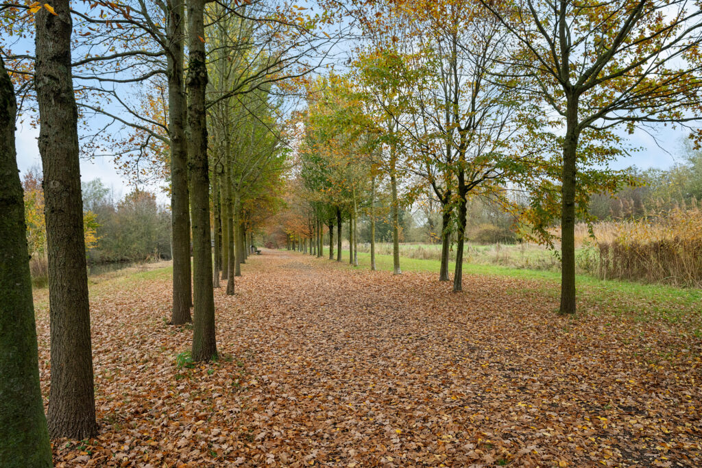 Hof ter Weydeweg 3 – Foto 35