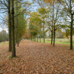 Hof ter Weydeweg 3 – Foto 35