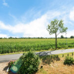 Nijensteinseweg 41 – Foto 13