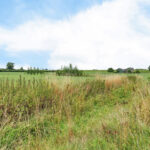 Nijensteinseweg 41 – Foto 18