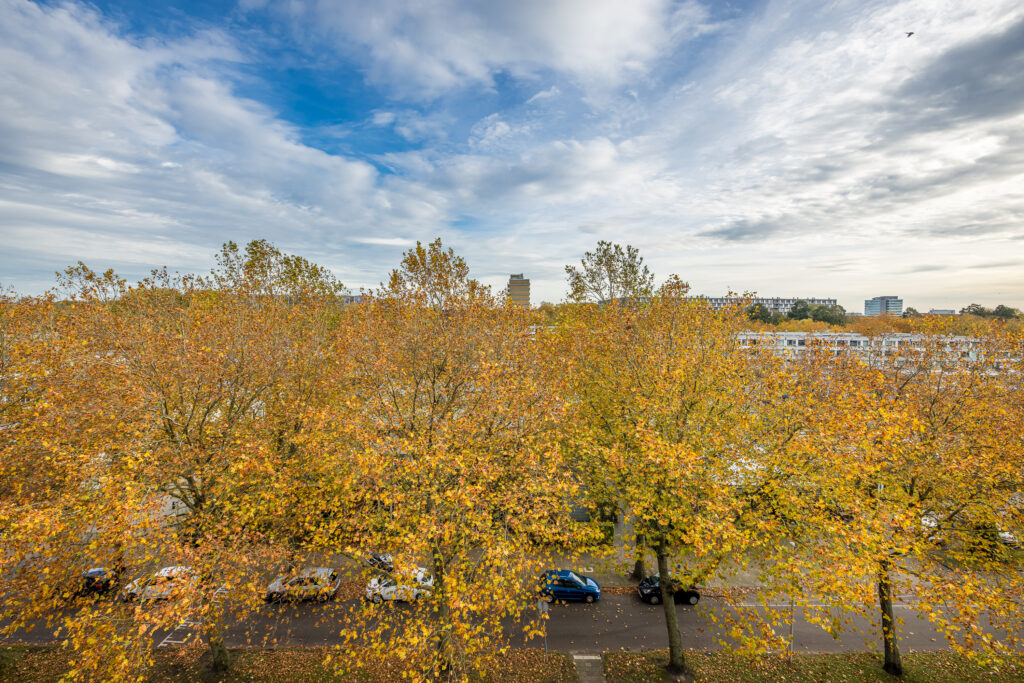 Jaap Edendreef 90 – Foto 2