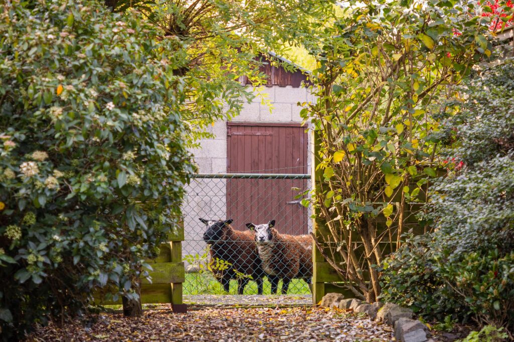 Wagenmaker 5 – Foto 54