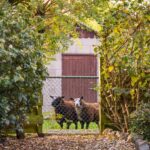 Wagenmaker 5 – Foto 54