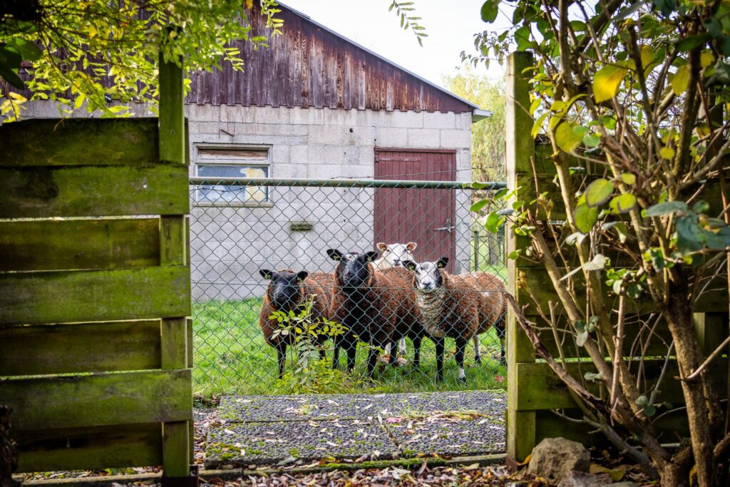 Wagenmaker 5 – Foto 64