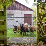 Wagenmaker 5 – Foto 64